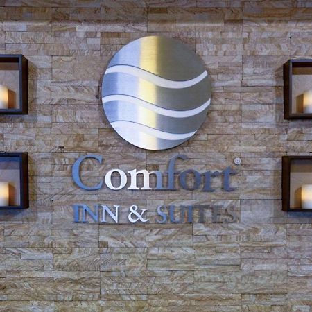 Comfort Inn & Suites Amarillo Eksteriør billede